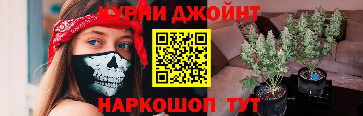 Каннабис Amnesia Семилуки